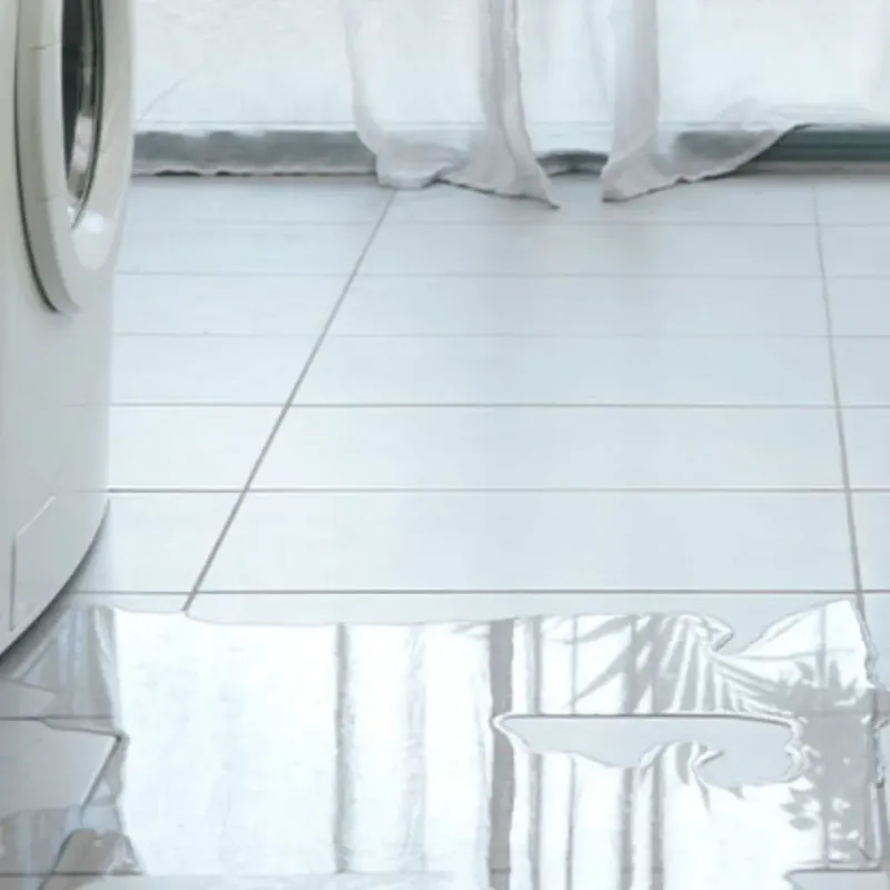 Appliance Leak Cleanup in Walls, MS
