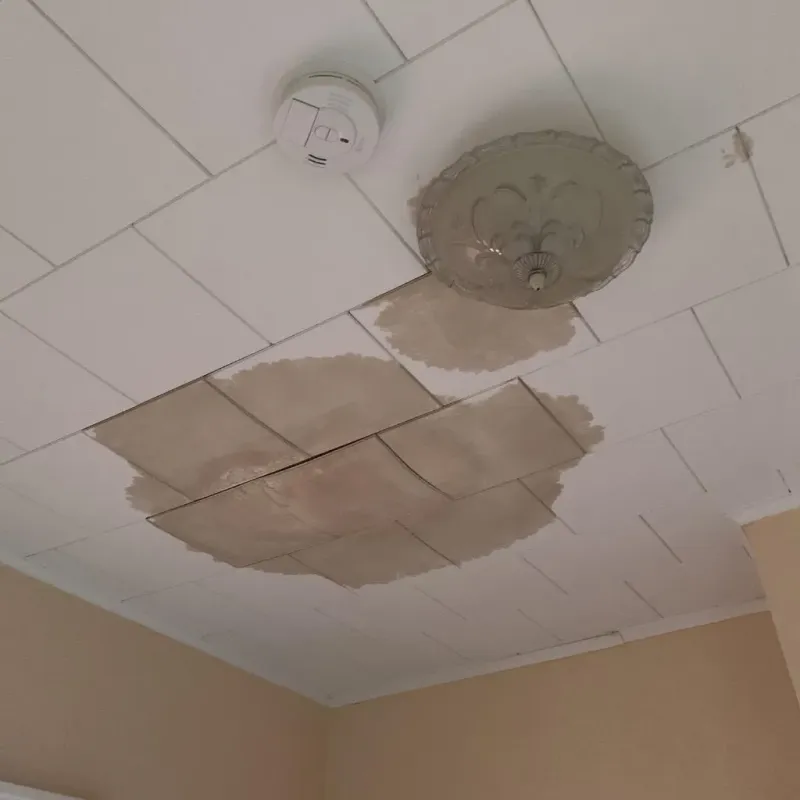 Ceiling Water Damage Repair in Walls, MS