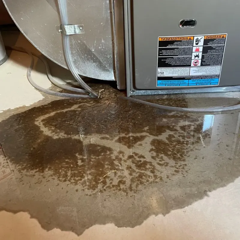 Pipe Burst and Leak Restoration in Walls, MS